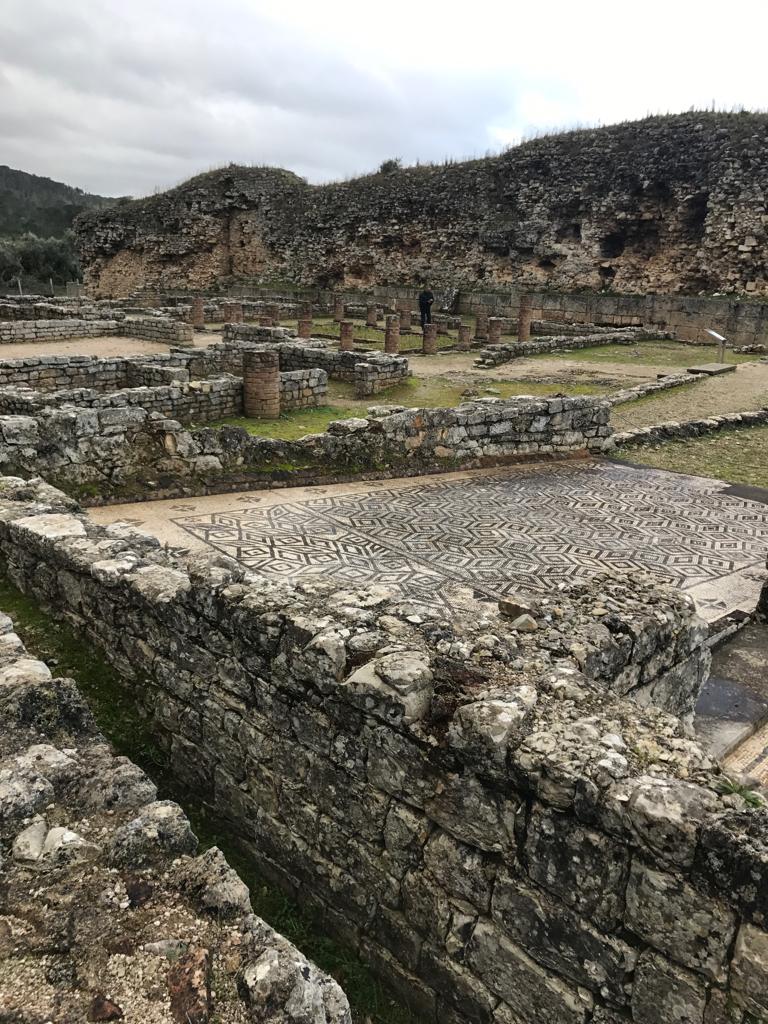 Franner6thclass's tweet image. Day 4: A break from life in school as we ventured to Conímbriga for the day to explore Roman Ruins and a wonderful museum. A lot of fun exploring and learning ! @Erasmus1820 @EUErasmusPlus @Leargas #franner #ErasmusPlus