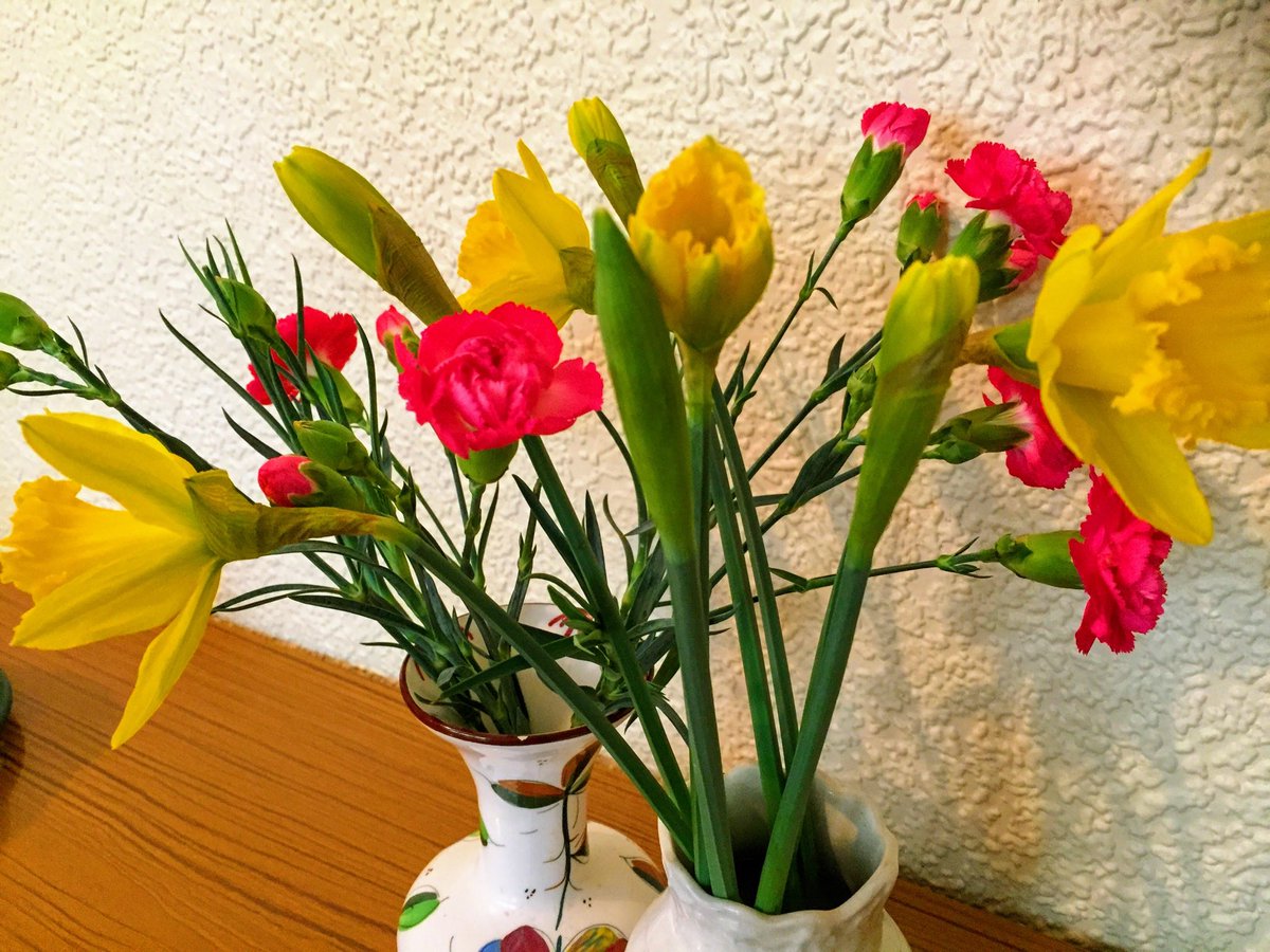 Daffodils and carnations 🌻❤️🌻❤️🌻❤️ 

youtu.be/FFDLbZrO3xE ❤️🌻❤️🌻❤️🌻 

Garden Flowers by David Wolff itunes.apple.com/gb/app/garden-… 🌻❤️🌻❤️🌻❤️