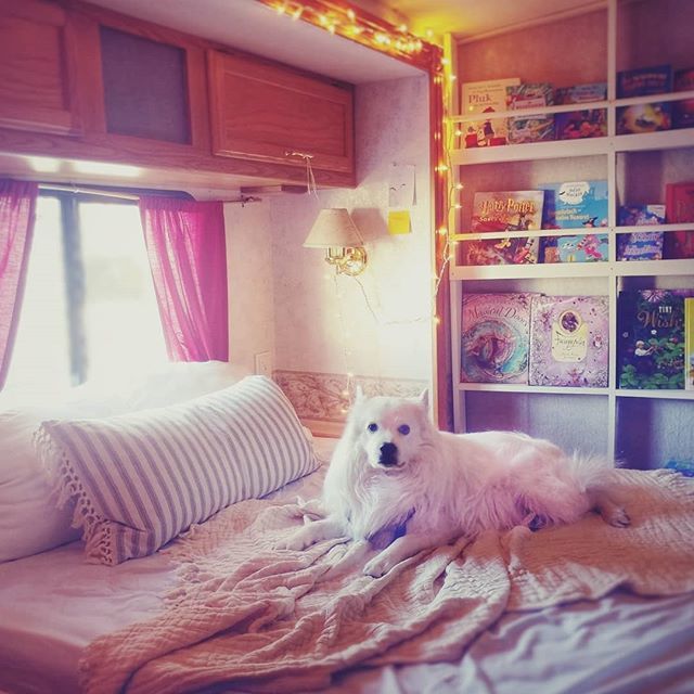 sissisdiary's tweet photo. Our secret reading nook. 👓🔮
.
When I first had to go to California for treatment we didn't know how long we'd be there for, so we got an RV and made it a road trip.
.
We stayed at a great resort by the ocean, and played in the water.
.
Then we found … https://t.co/8QuJTLiH6U https://t.co/X0L8PDLzsE