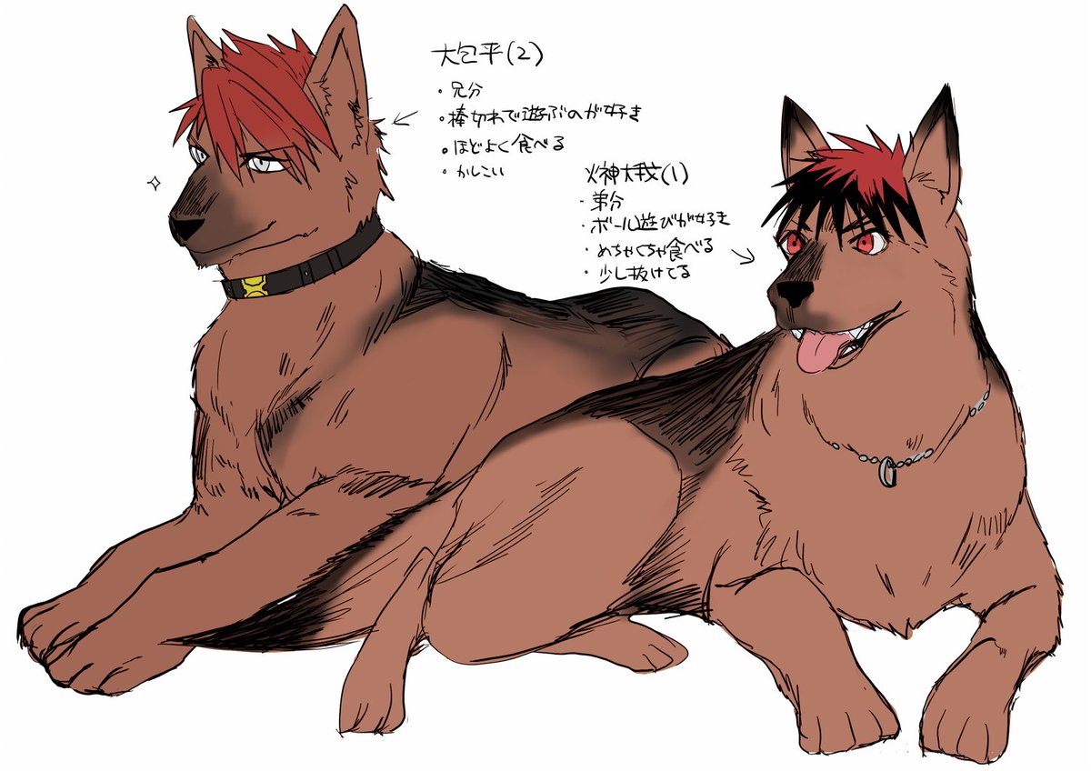 鈎 En Twitter シェパみんとシェパ包平 犬化してます