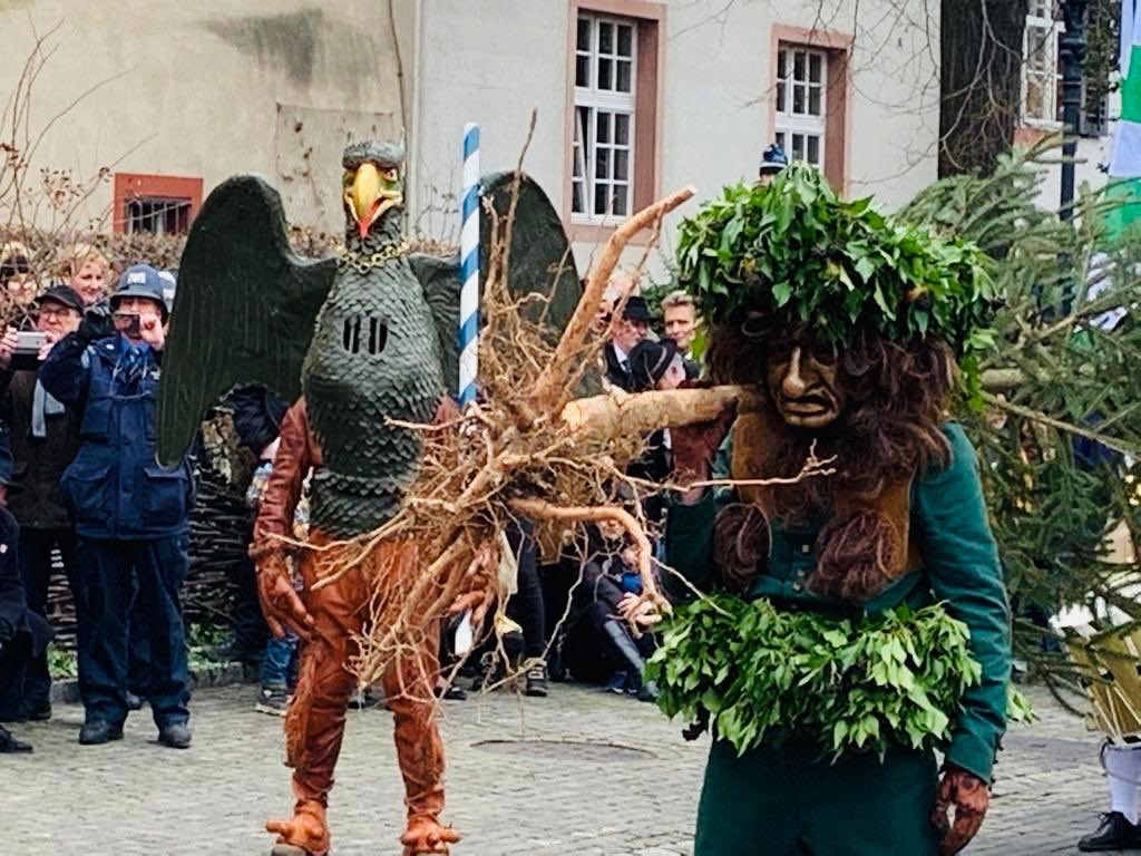 alain_berset's tweet photo. Zu Gast am #VogelGryff: Tambouren trommeln🥁, Böllerschüsse knallen💥 Nach der Flossfahrt tanzen Vogel Gryff, Leu und der Wild Maa mit viel Volk durchs #Glaibasel. Ein buntes Fest, eine #LebendigeTradition. E häärzligs Danggescheen der E. Gesellschaft zum Greifen! @CulturaCH https://t.co/ZcRePe2G7x