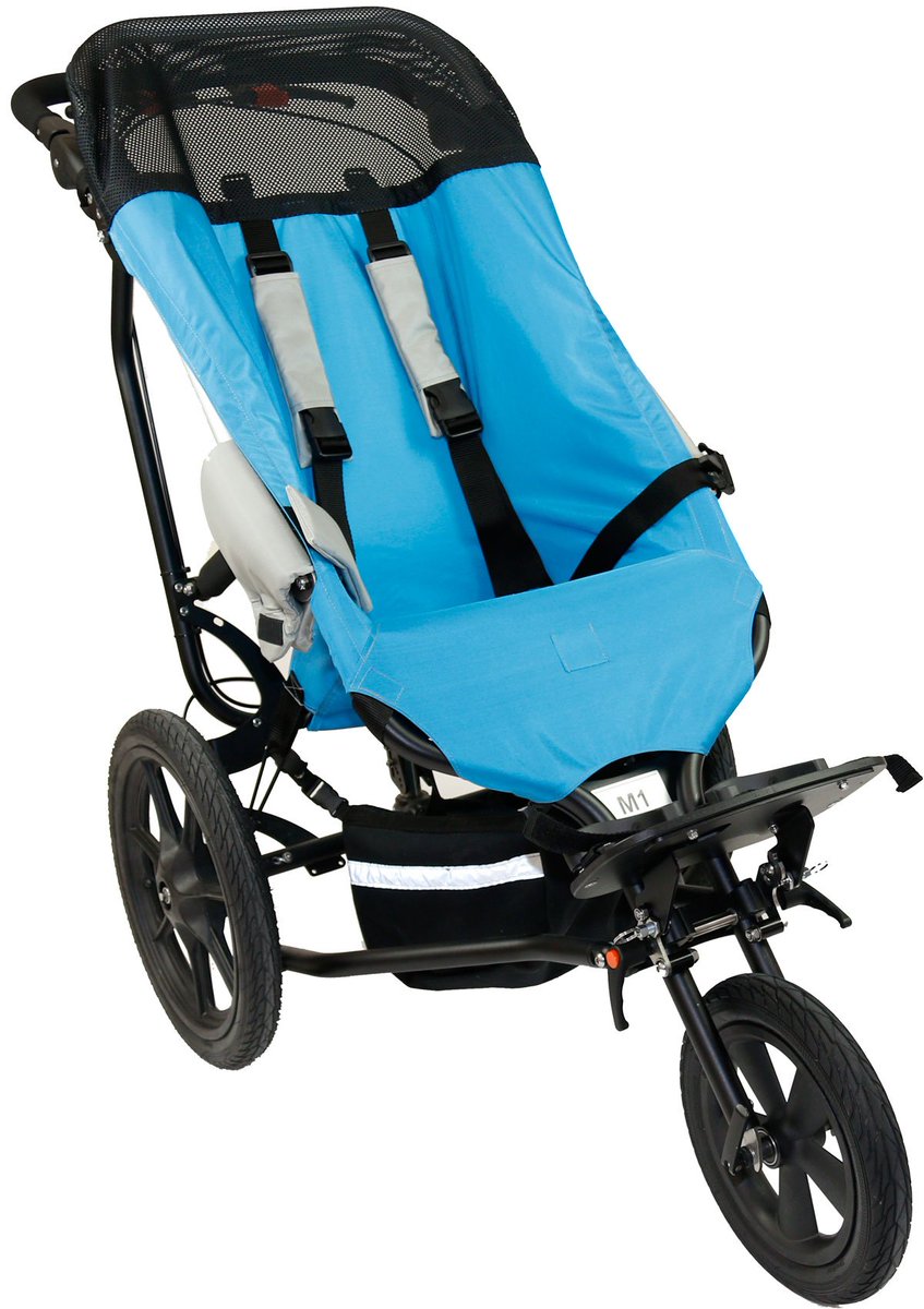 delichon delta buggy