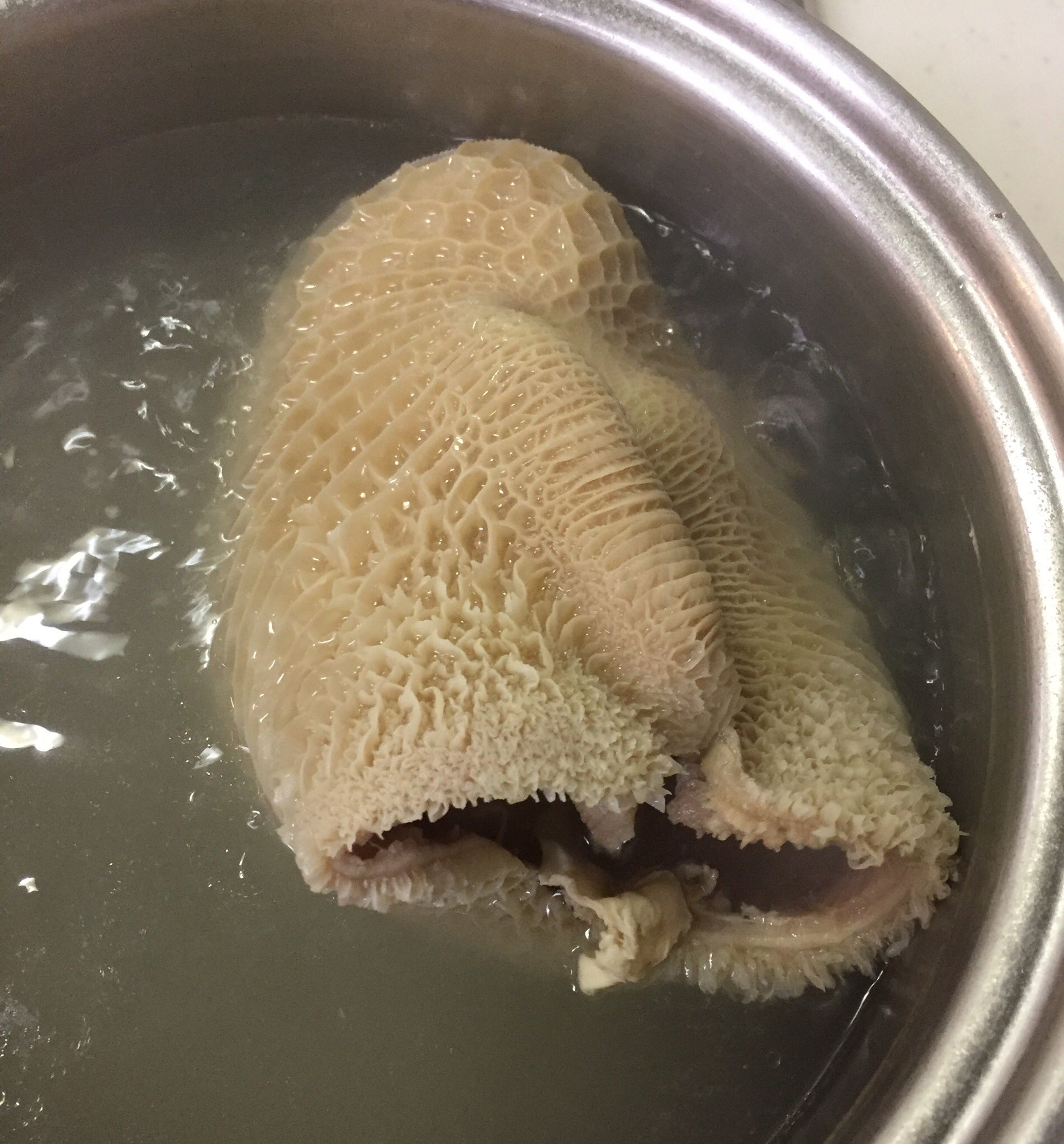 Hana 牛の胃袋ハチノスで料理 300gからというのは 胃の袋丸ごとの重さだった 今日は501gの胃袋で トリッパと ハチノスと豆苗とルッコラのサラダ あと パンチェッタのスープ 下拵えに時間かかったけと 美味しくできた ただ ハチノスが噛みきれ