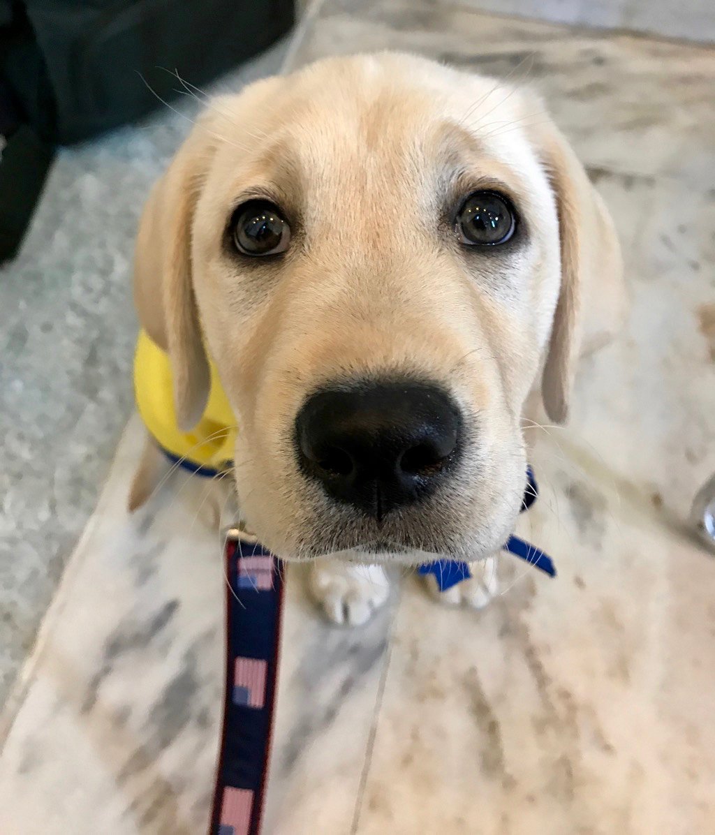 Litters: Latest news, Breaking headlines and Top stories ...