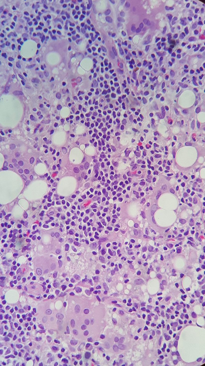 Micropics for all the  #pathtcuriosus &  @ariella8