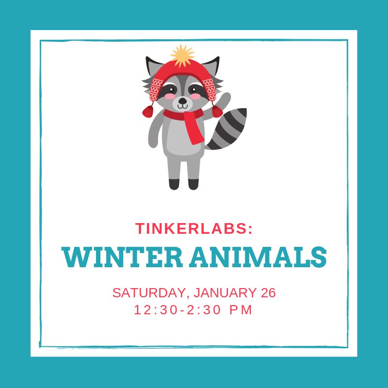 ExWorksMT's tweet photo. Join us for TinkerLabs: Winter Animals and explore all of the different properties of winter animals and what makes them unique! Today from 12:30-2:30pm. #TinkerLabs #ExplorationWorks #HelenaMT https://t.co/V0ewfmeLZu