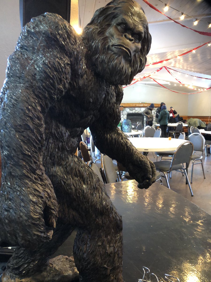 This guy is going to make someone’s mantel extra handsome today! The Big Foot 5k/10k is underway... and yes it’s -5 degrees out! #timberridgetc #bigfootsnowshoerace #areyouyeti #hereforthecocoa