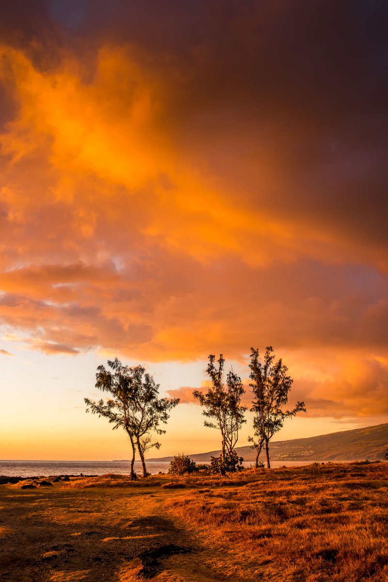 PPonchon's tweet photo. #Collection974 - Sunset à la Pointe au Sel à #SaintLeu #Reunionisland #gotoreunion https://t.co/UdIAOUFH4n