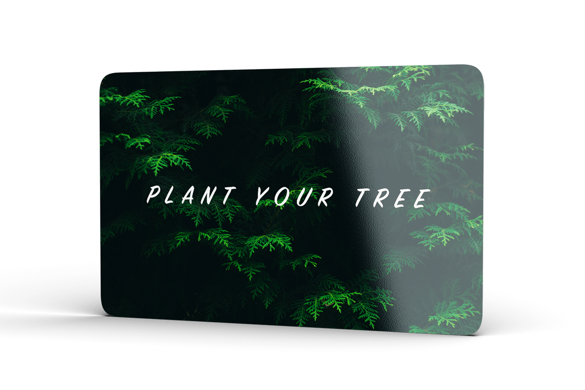 treespond's tweet photo. Looking for an Eco-friendly gift for your Valentine? 💌 🍃
Think about personalized TREES 🌳 Because now you can have your own tree in California.
https://t.co/8MhbNdgryj
P.S.: Planting card comes with a cute 3D handcrafted greeting card https://t.co/B89BscQGZb
