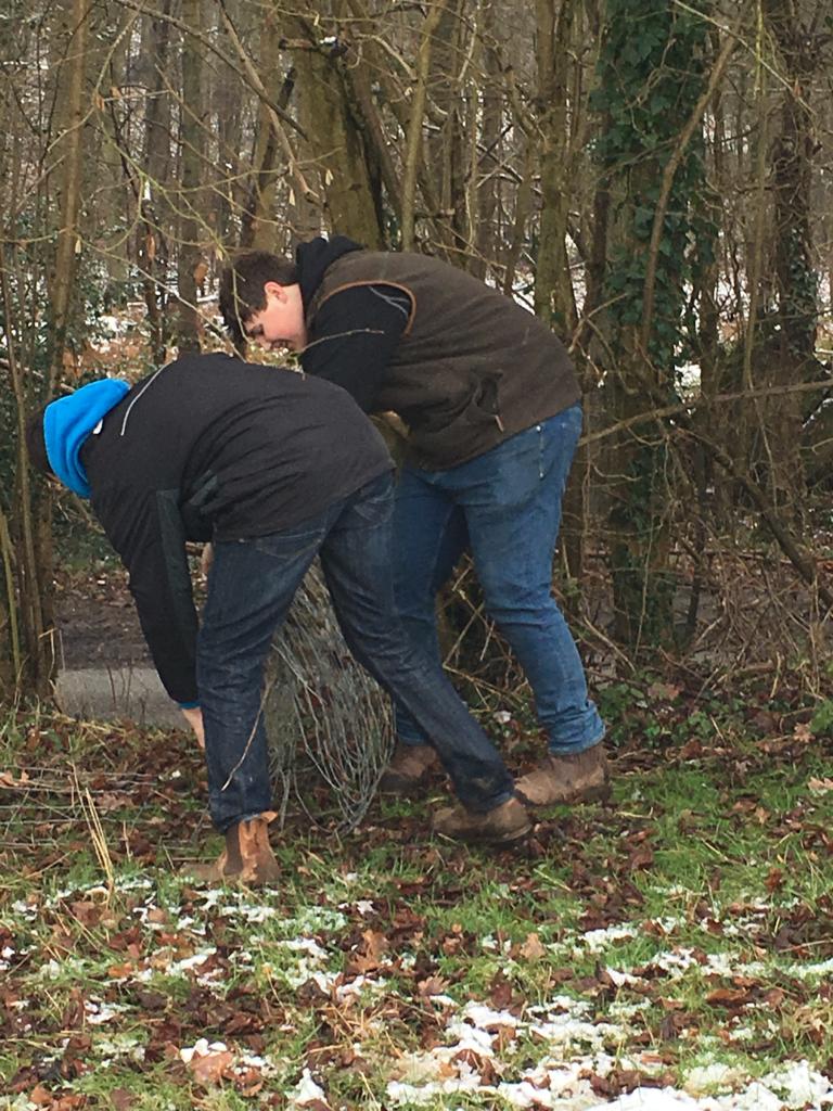 BCA_Maidenhead's tweet photo. Earlier this week, our Agriculture students assisted our Estates team with the removal of old fencing on campus in preparation for new fencing to be installed next week. Great practice for our students, but also a great help to Estates, who were extremely grateful for the support https://t.co/IaNfb7UKcr