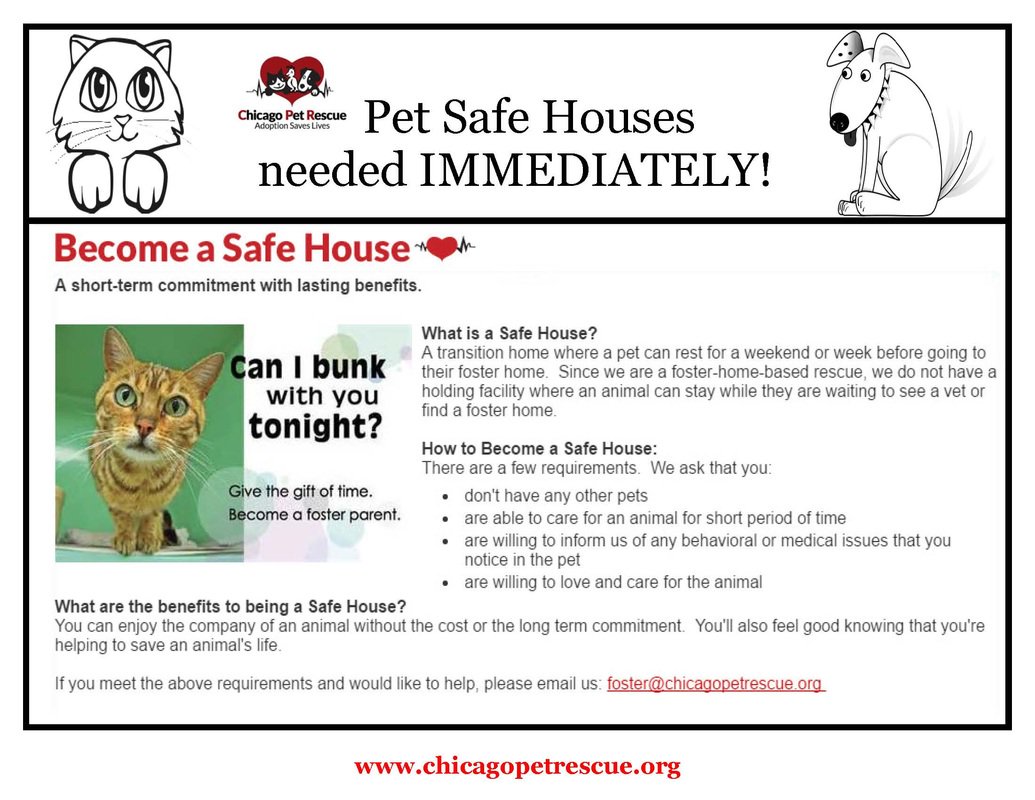cprRescue's tweet photo. Can't adopt & don't have the schedule to foster long-term, but still want some quality cuddle time with homeless animals? Apply to be a short-term, temporary safe house! #safehouse, #savealife, #supportcpr, #helphomelesspets, #shorttermfoster https://t.co/xbTsFeeKjT