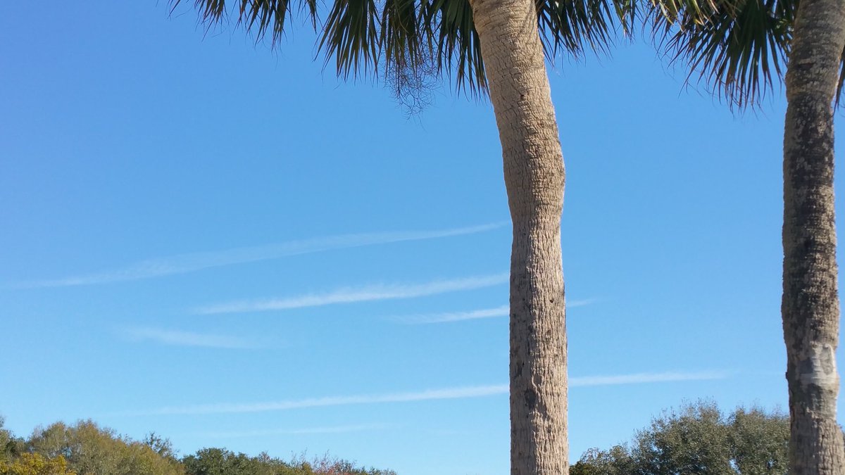 kirkwoodjones's tweet photo. Friday (1/25 )
A Day in #CentralFl
8am I've Got "4bars" lol.
#Geoengineering #SciFiSky #OpChemtrails #CVReports @Kt23kartracer @Ryan_inNC @DanPeacock12 @floridayys @LadyWilson8 @TripWilson13 https://t.co/q26h4h5IYT