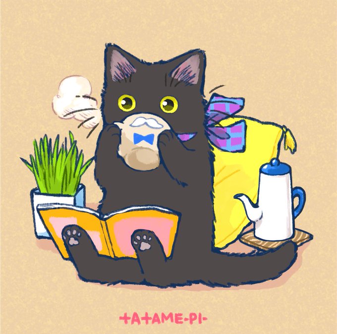 「cactus cat」 illustration images(Latest)