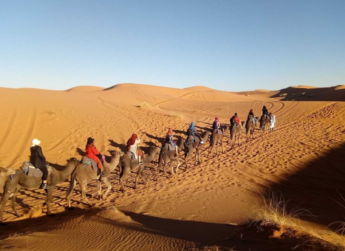 moroccotouring_'s tweet photo. Camel ride in the sahara 🐫 #moroccotouring #camel #marzouga #desert #sun #gold #marakesh #doit #enjoyit #liveit #peaceabdlove #havefune #tourist  #nice #beauty #lovely #life #sky #sun #morocco https://t.co/sSEJFHXQMs