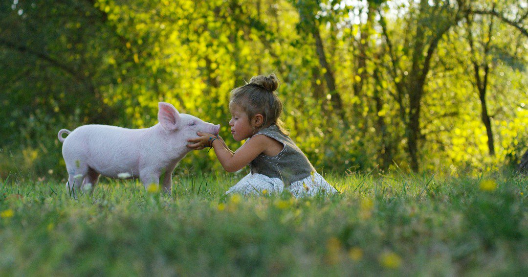 Modere_US's tweet photo. Our furry friends deserve to have a live clean lifestyle too. That’s why Modere products are never tested on animals! #modereliveclean https://t.co/wt31Rb2lBW