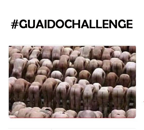 net_red's tweet photo. #GuaidoChallenge https://t.co/3KV0shh1Kt