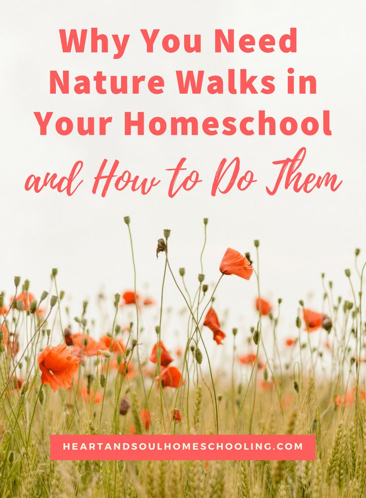 homeschoolsara's tweet photo. Why You Need Nature Walks in Your Homeschool {and How to Do Them} https://t.co/xmicbdlp8n

#ihsnet #homeschool #homeschooling https://t.co/8NI0bE4bu6