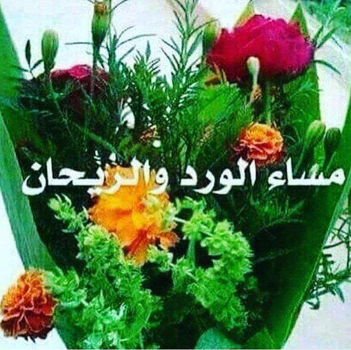 الـسلام لـلي يردون الســلام
يامساء الخير والرد مايضيع

ومن تجاهلنا أبـد مالـه مـلام
مو ضروري أمتلك حب الجميع