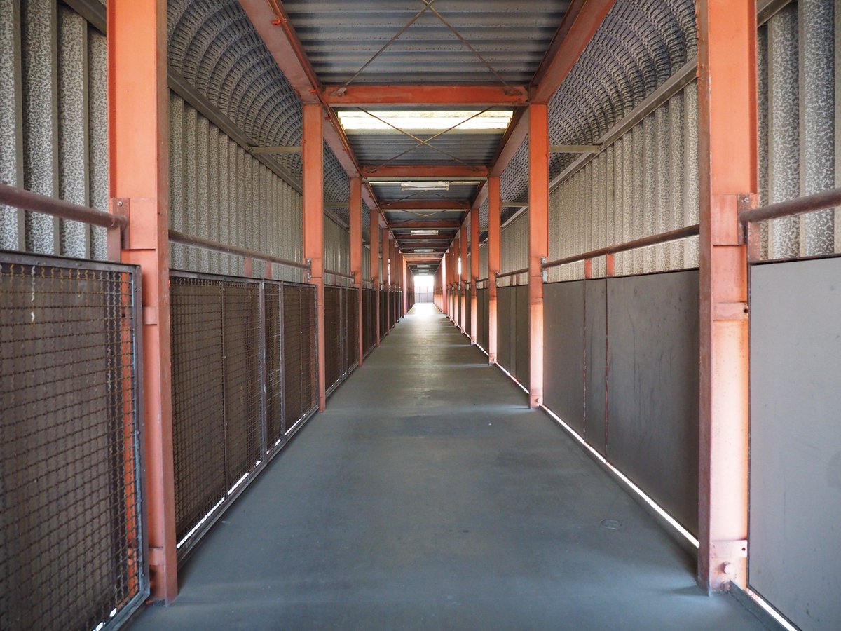 プイ On Twitter 熊本県営 新渡鹿団地 左の階段室型 中央と右の片廊下型がスキップフロアの外通路でつながっている という初めて見る複雑な構造 スレッドで案内図も貼ってみるので スキップフロア知ってる人はそれを見れば判ると思います 汗 更に階段も螺旋階段