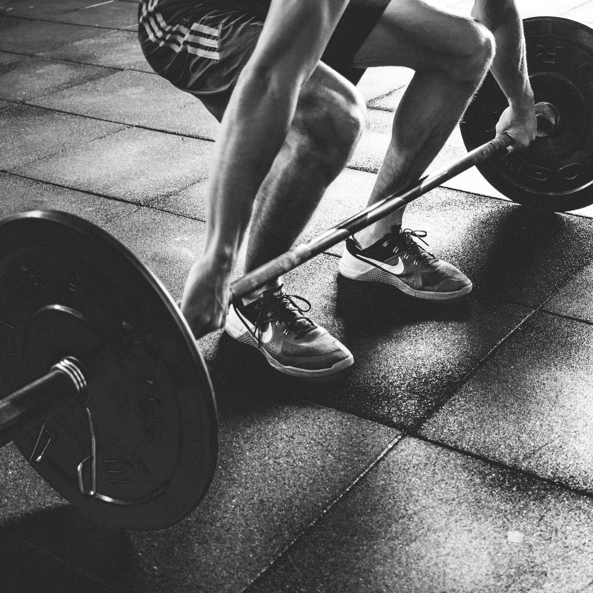 Paleoethics: PE Sport tweet media