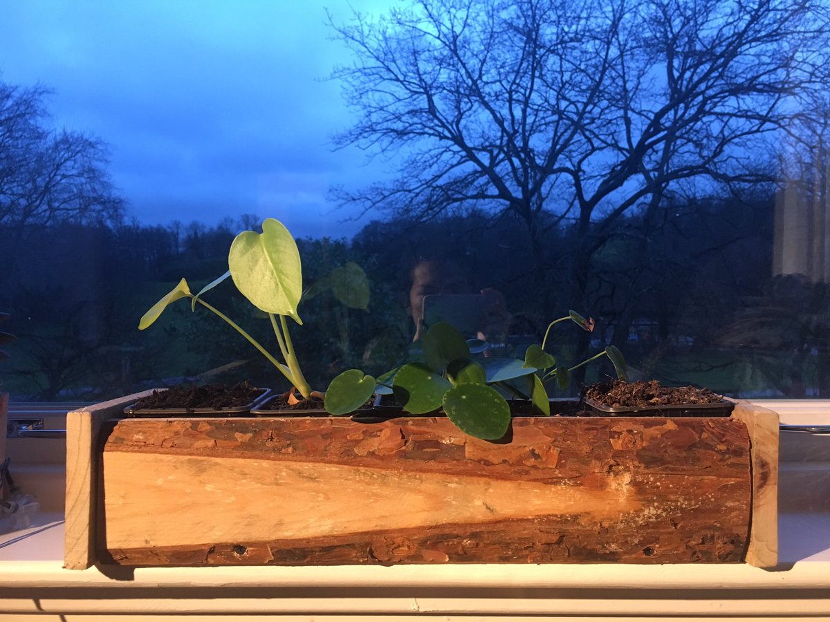 Ebany Dohle tweet media