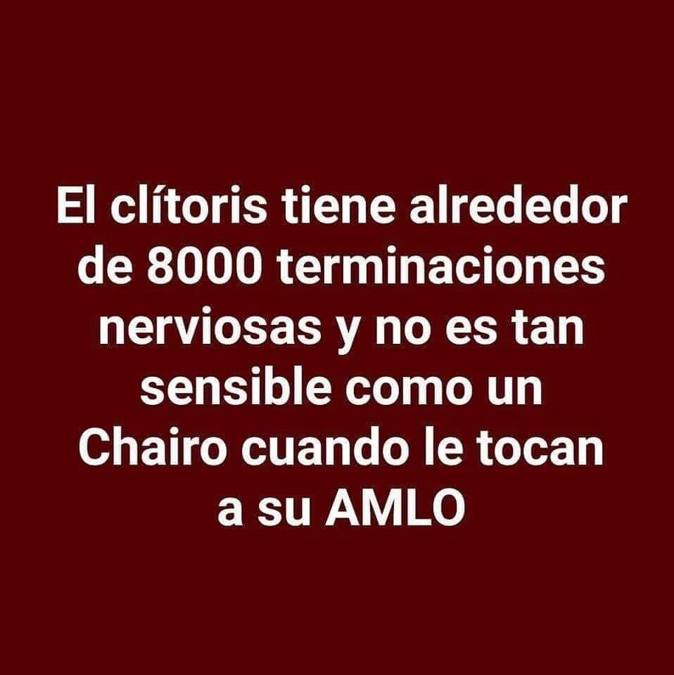 Cuido (@cuidojorgeplata) on Twitter photo 