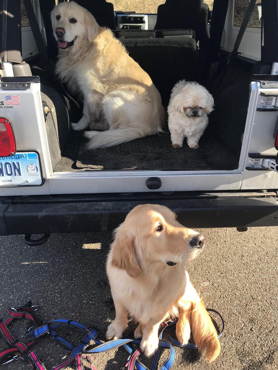 BobButler40's tweet image. Best Buds enjoying the chill in the air so much Jackson protesting to leave the park.