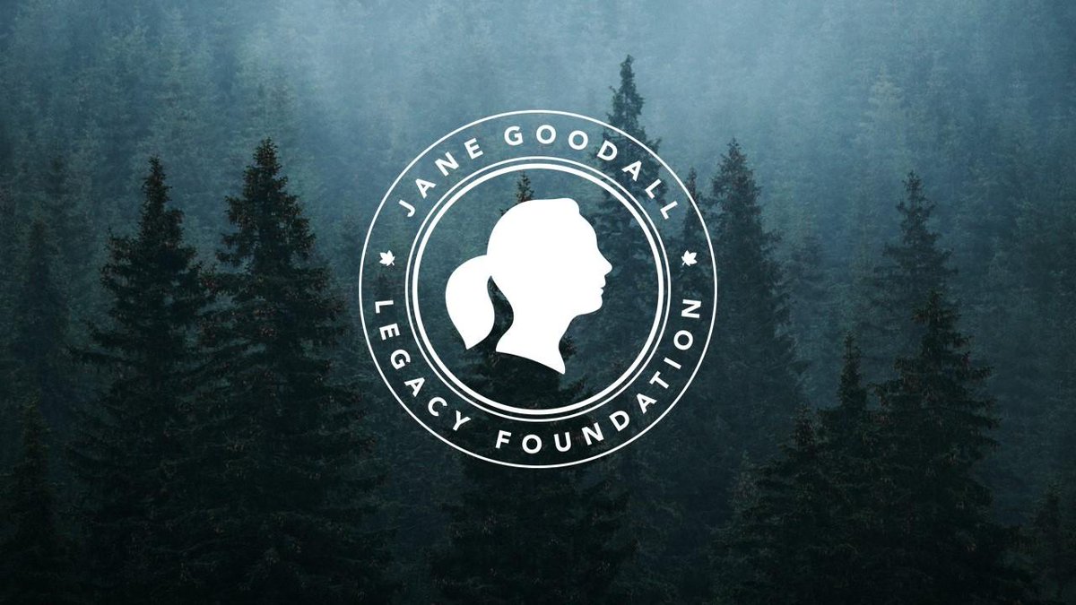 Docusign's tweet image. This week we contributed $1.5 million to the Jane Goodall Legacy Foundation as part of the #DocuSignForForests initiative. Find out what exactly that means, how and why our world's forests need protection, and how you can take the pledge: bit.ly/2FTXrNo
