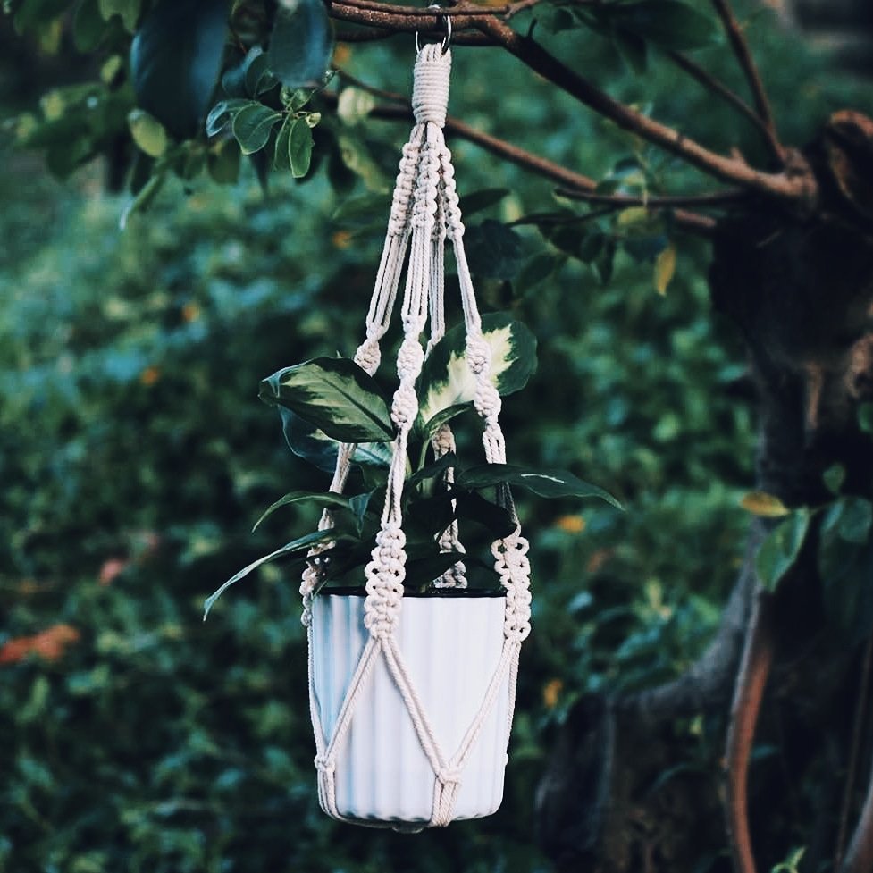 keyleygraham's tweet photo. Head over to https://t.co/zCOvFsYsz6 to order a Macrame Plant Hanger 🌿 Different styles available 🌼

#macrame #macrameplanthanger #macrameplanter #macrameplanters #homeware #decor #interior #instahome #instahomedecor #planter #flowers #plantlady #hull #kingstonuponhull https://t.co/TbiEdZmwAN