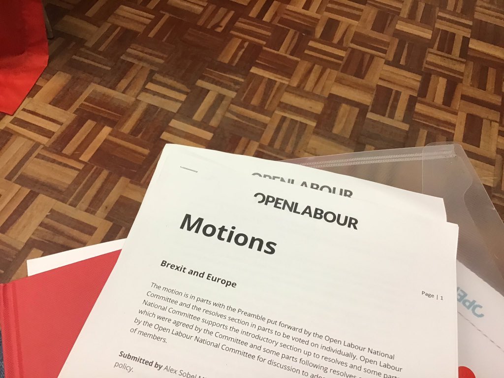 OpenLabourWY's tweet photo. Just passed some great motions - including on mental health and young people, public control of comprehensive education, iniquitous two child policy and standing with @JewishLabour against antisemitism. #OLConf https://t.co/JZxSIiWS5R