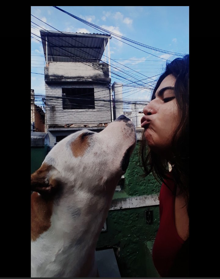DUDAMar79221107's tweet photo. #Meudog #meuamigocão #pitibull ❤🐶 https://t.co/C0XfWOJo42