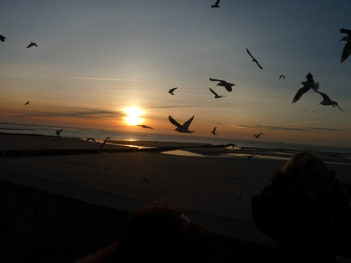 PTricoit's tweet image. VOTRE RADIO EN DIRECT DE BERCK PLAGE............................facebook.com/clairetnet.lap…

radionomy.com/fr/radio/clair…

listen.radionomy.com/clairainetradio

..clairenetradiolesite.e-monsite.com.