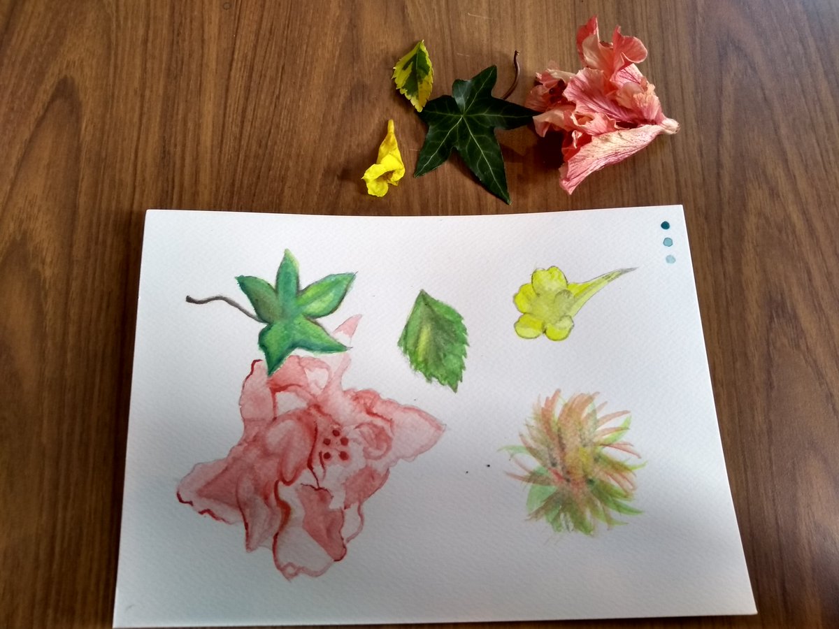 CamiloRamos's tweet photo. #AgendaCultural ¡Estuvo genial el taller de dibujo y acuarela en la #CasaCampuzano de @Banrepcultural! #Recomendado #AmoDibujarDeNuevo #FotoPalTwitter https://t.co/2fJgnFv36p