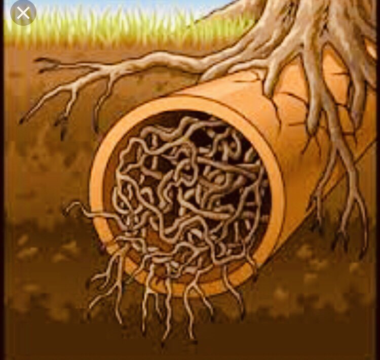 5FrameCoaching's tweet image. “Problems must be addressed at the level beneath that at which they show themselves, if they are to be permanently eliminated” Sir John Whitmore #5FrameCoaching  #executivecoaching  #teamcoaching  #Leadership  #selfmanagement