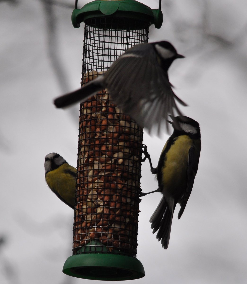 John Andrew Wall tweet media