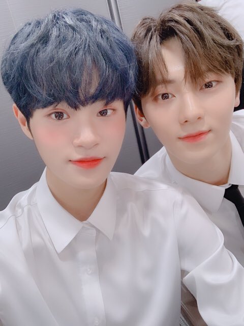 WANNAONE FANCAFE { closed } tweet media