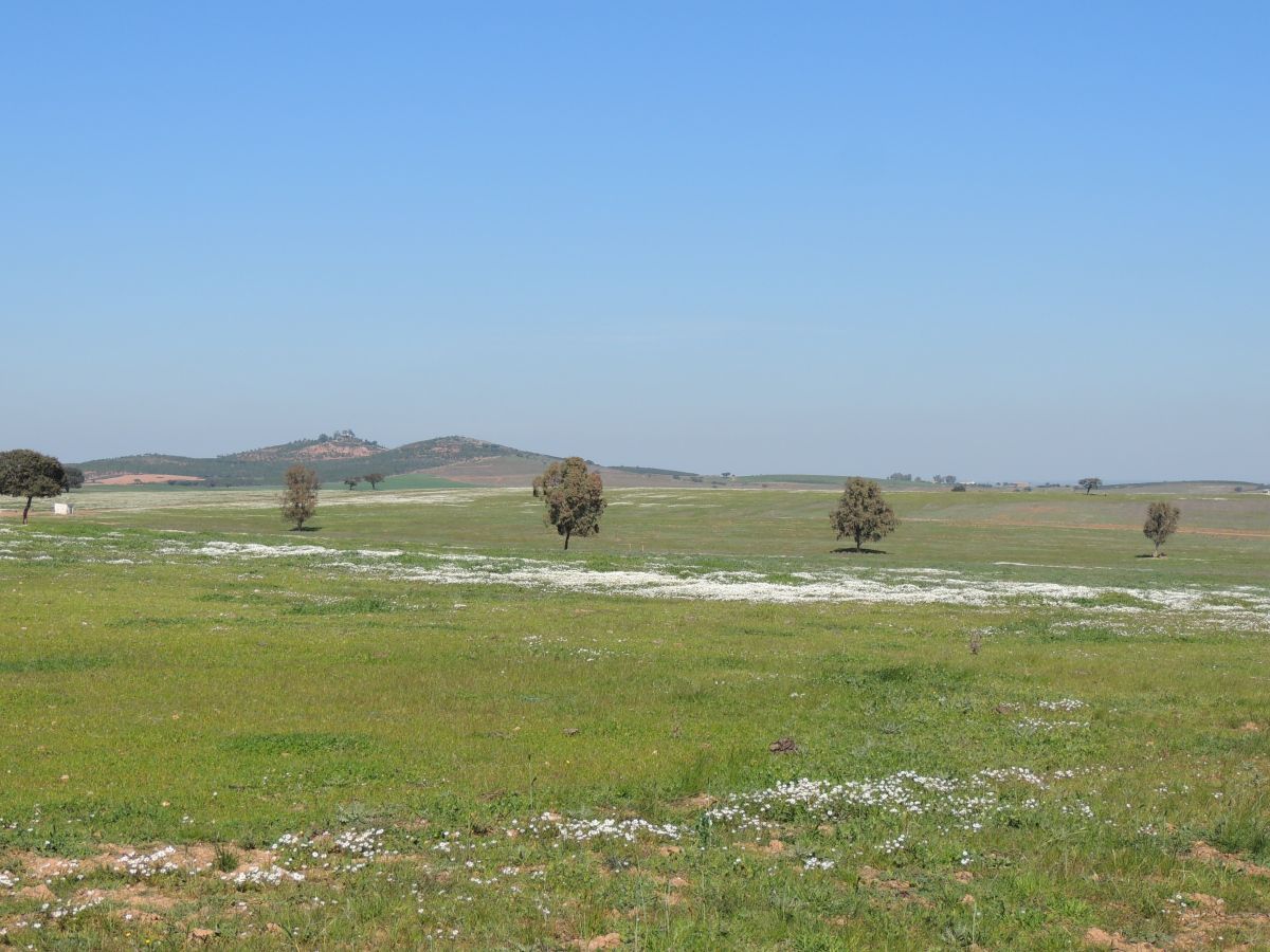 BeckyinPortugal's tweet photo. This is a great time of year to explore the steppe https://t.co/3uMcePbV21 https://t.co/QG0AR7Mb6J