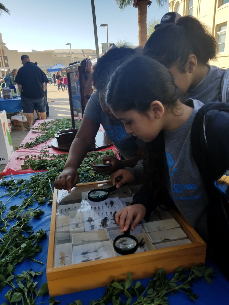 bgcarizona's tweet photo. @BGCMP kids are having a BLAST at @CoxComm's @Connect2STEM event this morning! It's a great opportunity for kids to explore the sciences at University of Arizona College of Medicine - Phoenix. Thanks, Cox and UA!  #Connect2STEM2019
#Connect2STEM https://t.co/Ah5CBdhE13