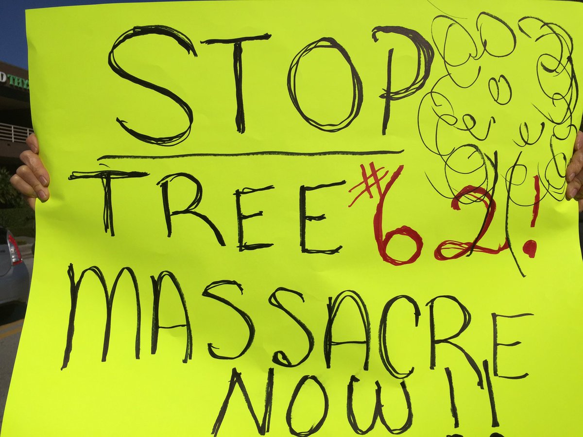 SaveWPLibrary's tweet photo. BREAKING--@WinterParkFla is cutting down trees in #MLKPARK. SIXTY (60) destined for the AX. EMAIL -- MAYORANDCOMMISSIONERS@CITYOFWINTERPARK.ORG Tell them NO to #TREEMURDER Save the trees! Worth the price. It CAN be done! #sayfie #FlaPol #LoveFl https://t.co/rzk9IK1Dn4