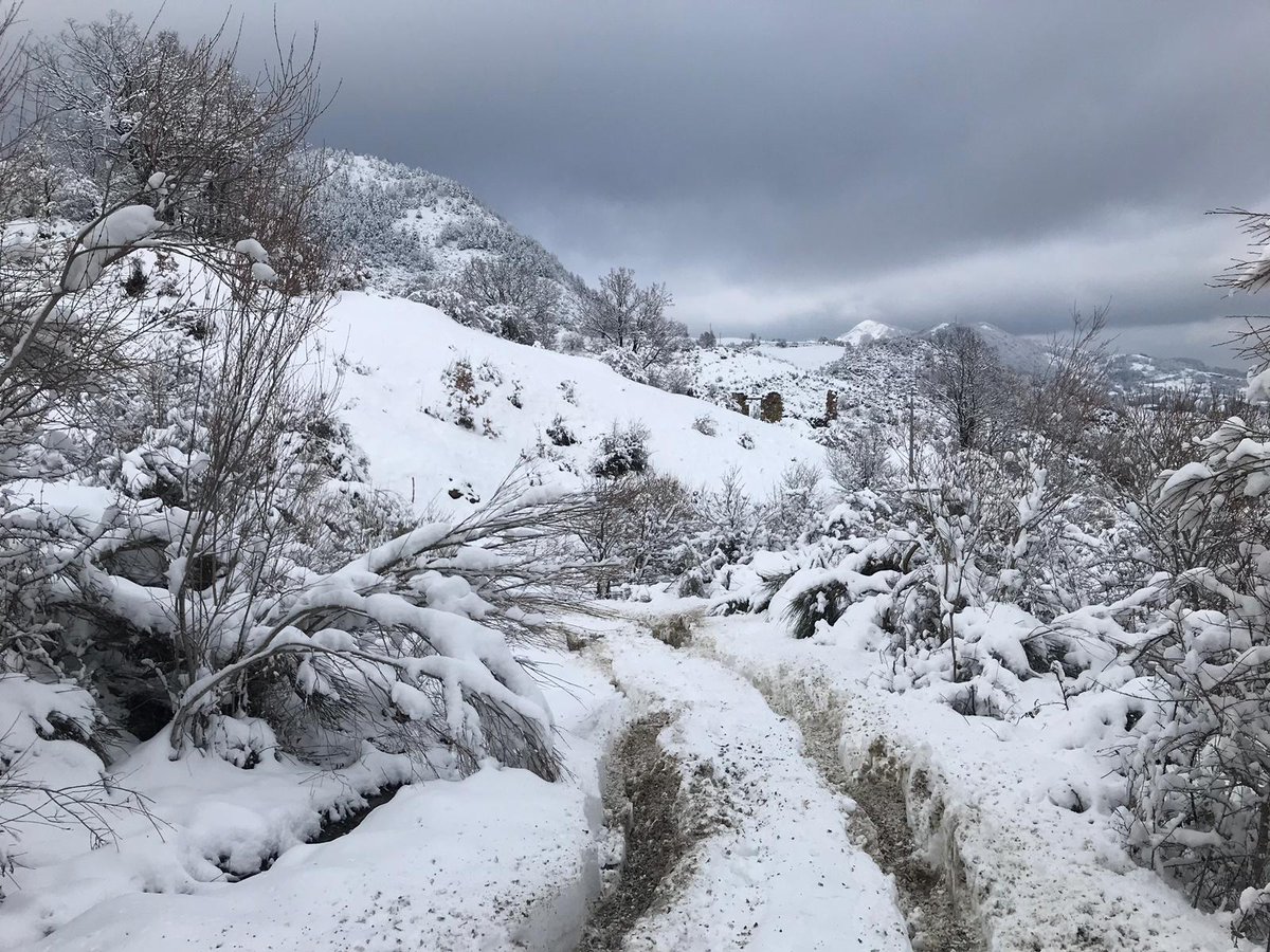 edistribuzione's tweet image. 🔴 Maltempo in Basilicata: prosegue ininterrottamente il lavoro delle nostre squadre sul campo. Da ieri rialimentati oltre 24.500 clienti in provincia di Potenza. Per approfondimenti clicca qui 👉 bddy.me/2RhYGHh