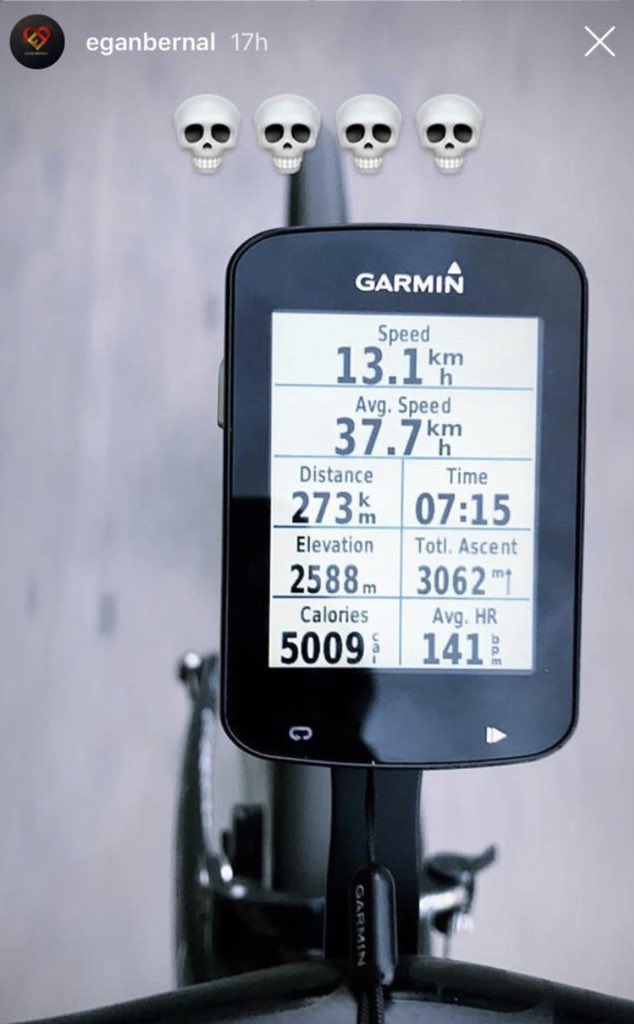 festinaboy's tweet image. Bernal vous trolle tous, bande de fainéasses. Tout ça avec un avocat dans le bide.