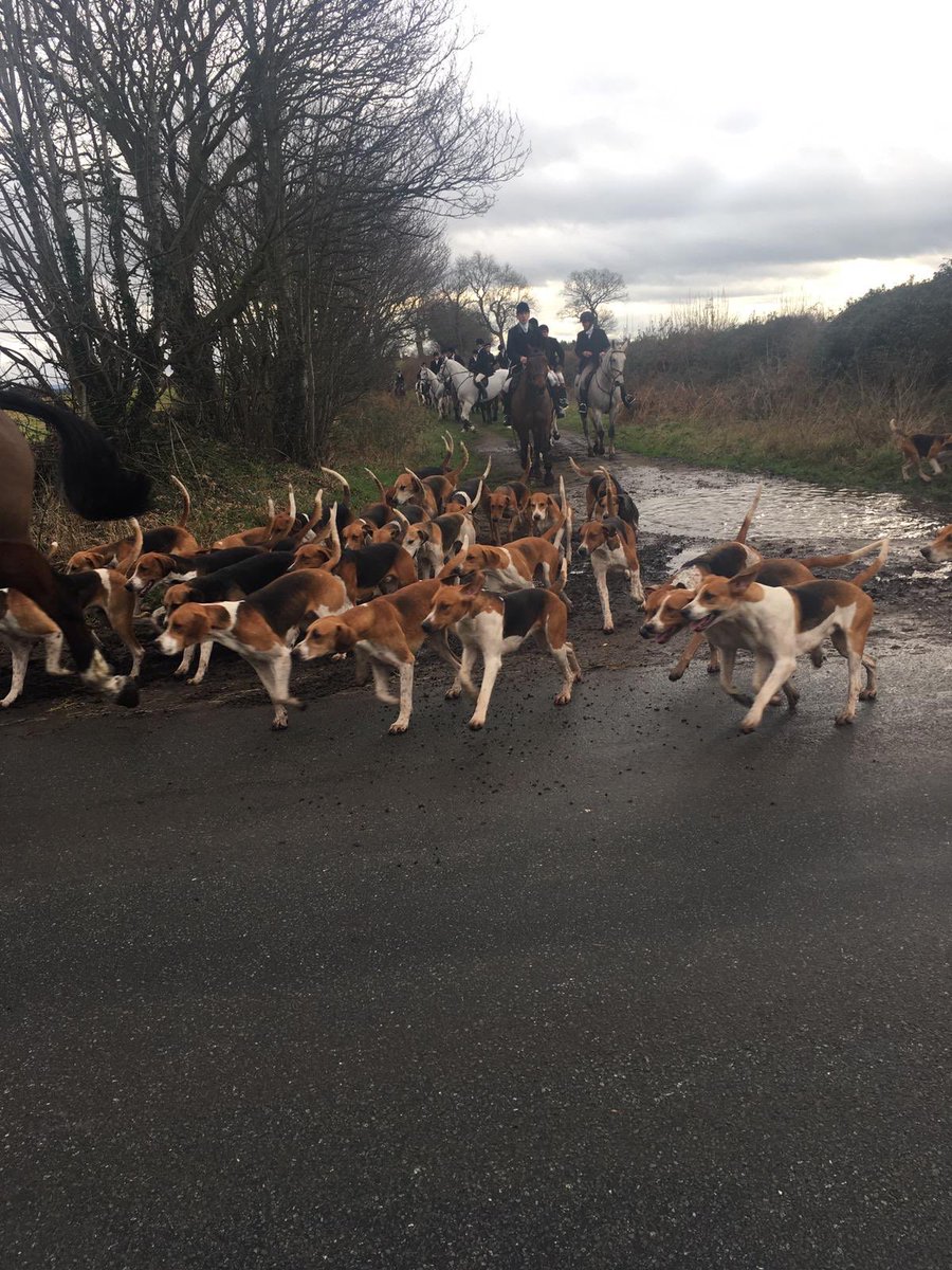 cheshireABS's tweet photo. A long hard day after the Cheshire Hunt with @CheshireSabs today in a difficult area. We saw three foxes that escaped death, and two hares, but fear that at least one fox was killed by the hunt. https://t.co/U0wQ37X6Ns