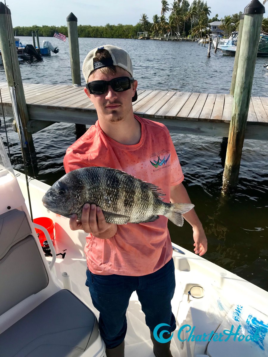 CharterHook's tweet image. Bokeelia, FL - Big Sheepshead
Report with Captain Billy Williams 
🎣 book.charterhook.com/reports/big-sh…
BOOK ONLINE 
👉 charterhook.com

#charterhook #bokeelia #maxedout #charters #sheepshead #snapper #pineislandsound #charterfishing #poweredbycaptains