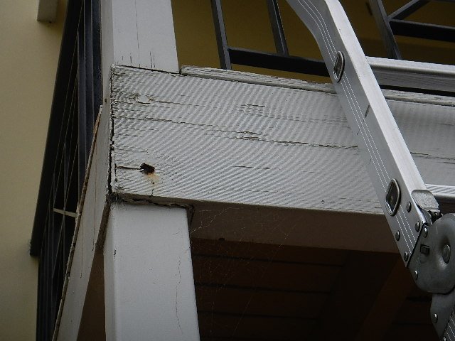 picstoriz's tweet photo. @prepurchase great inspectors. saved me from buying a termite riddled dump https://t.co/fHq6XswL9L
