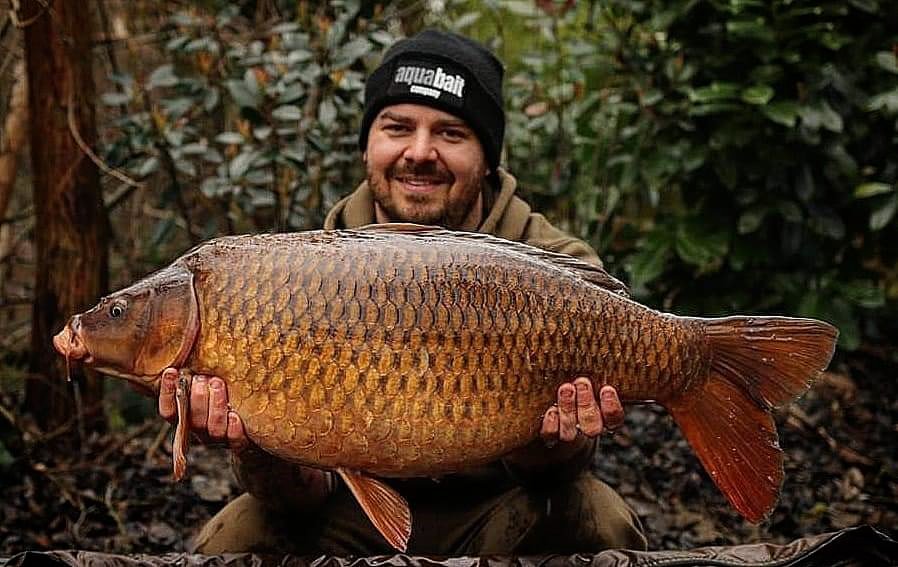 Monsterparticle's tweet photo. *Aaron Foster* With the pressure low and with mild temps it felt so good for a bite! The lake I run (Carpdell Fishery) hadn't done a fish for over 2 months. I set up in the dark and just before first light this lovely  28.11lb Common gave me a one toner! Caught over Monster Hemp! https://t.co/rwKwheexAv