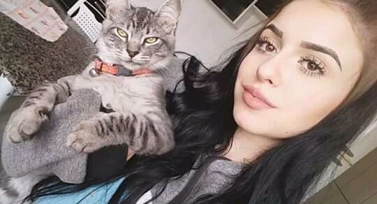 Só me arranhar mais eu te amo minha praga 🐱