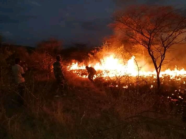 Anton_i9's tweet photo. A very sad news! "The high-intensity fire that broke out at #NechiSar National #Park in #ArbaMinch city last night destroyed 1,000 ha forest #Ethiopian Wildlife Conservation Authority #EWCA reports" @addisnewsnet https://t.co/Doty6ThxFP