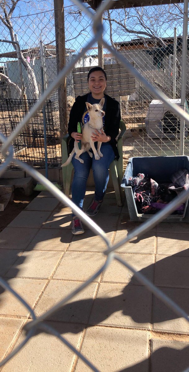 MECHS_Key_Club's tweet photo. Members having a Paw-some time helping out some new furry friends find forever homes ❤🐶 https://t.co/ff9gdFyXja
