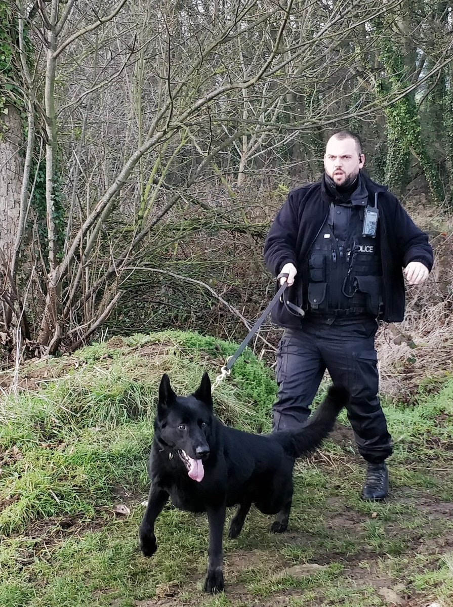 When will they learn...3 more arrested and 4 dogs seized harecoursing in the Boston area with thanks to PD Primus and handler. There is no where to hide! Top dog Primus! 🐕🚔 #OpGalileo #Ruralcrime #PDPrimus #Policedogs