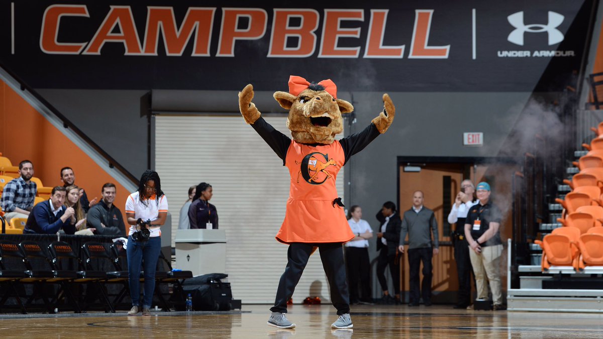 GoCamels's tweet photo. .@GladystheCamel is 🔙 ‼️ https://t.co/B8c1vrKTzD
